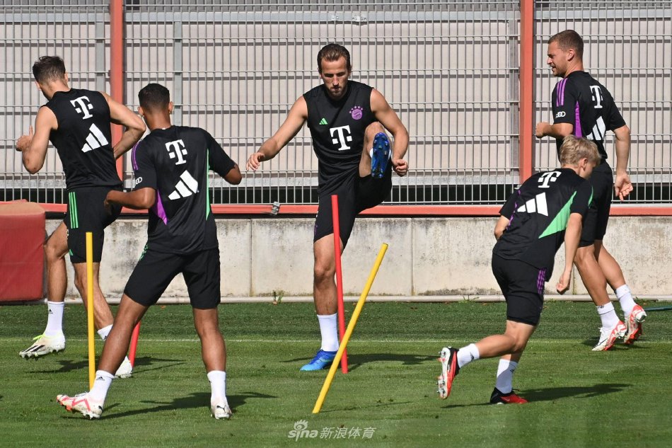 毅力的真实 毅力的真实